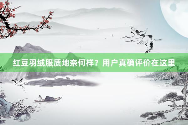 红豆羽绒服质地奈何样？用户真确评价在这里